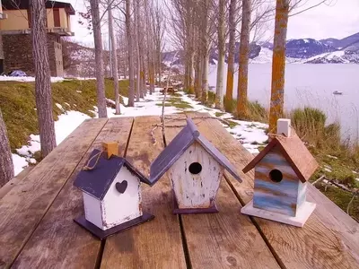 Un Refugio Encantador: Diseños Innovadores de Casas para Aves en el Jardín