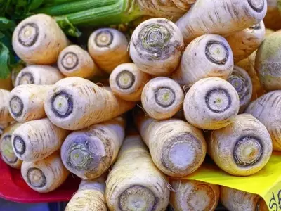 Descubriendo la Pastinaca: Cultivo, Propiedades y Beneficios