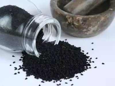 Descubriendo la Nigella Sativa: Cultivo, Propiedades y Usos de una Especie Única