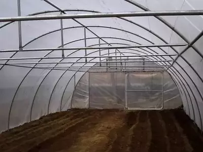 Guía Completa para el Mantenimiento Integral de Invernaderos