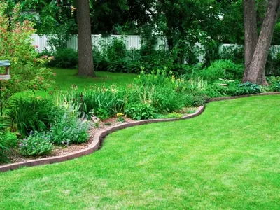 Realza tu Jardín: Guía Completa para Diseñar Bordes Naturales Funcionales y Estéticos