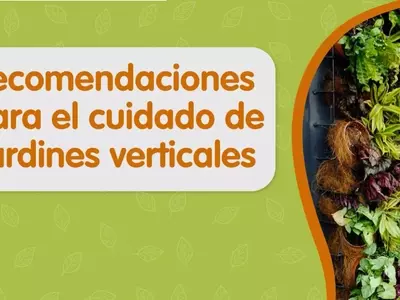 Guía Completa para el Mantenimiento Exitoso de Jardines Verticales