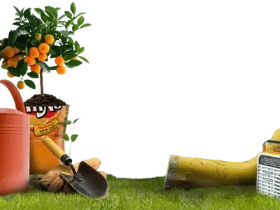 Guía Completa para el Cultivo de Frutas y Hortalizas en Macetas