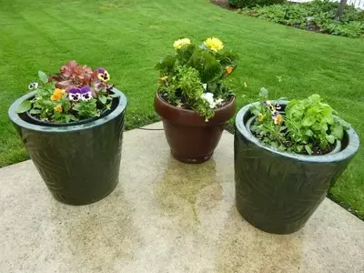 Transforma Tu Jardín con Macetas Creativas