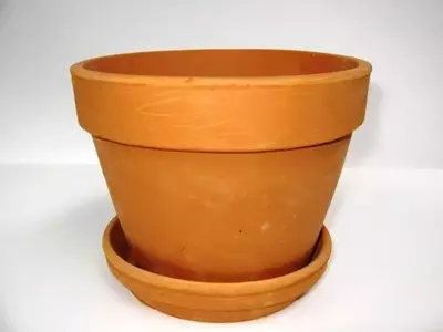Macetas de Barro: Guía Completa para su Cuidado y Durabilidad