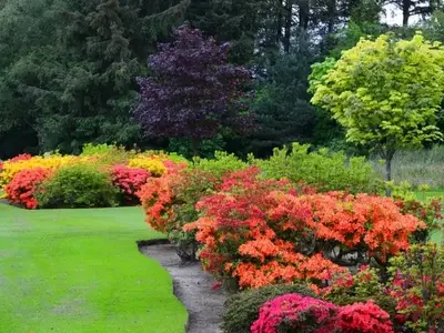 Jardinería Creativa y Económica: Embellezca su Espacio Exterior sin Gastar una Fortuna
