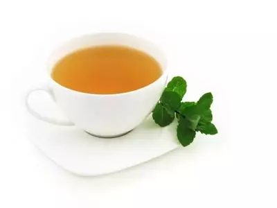 Elabora tu Propio Té Casero: Una Guía Completa desde la Planta hasta la Taza