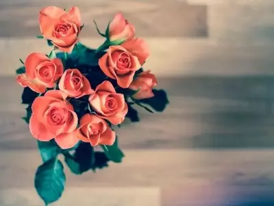 Realce su Mesa: Guía Completa para Decorar con Flores Frescas