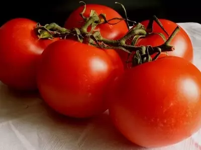 Guía Completa para el Cultivo de Tomates Orgánicos