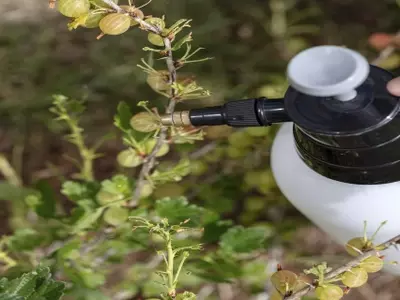 Fungicida casero de leche: un aliado ecológico para tus plantas