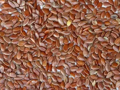 Guía Definitiva para la Germinación Exitosa de Semillas