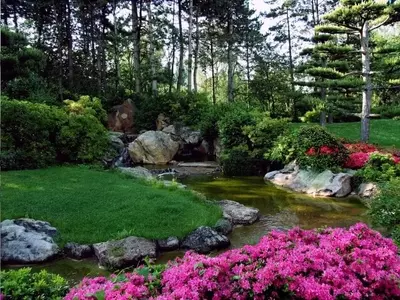 Crea Tu Propio Edén: Una Guía Esencial para Diseñar y Mantener Jardines