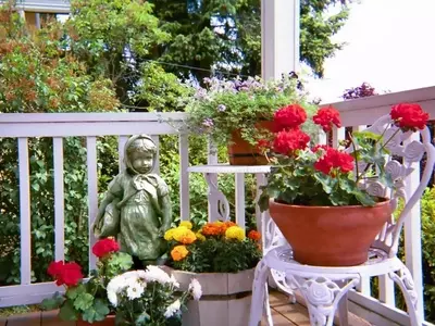 Crea Soportes Únicos para Tus Plantas: Guía Práctica y Creativa