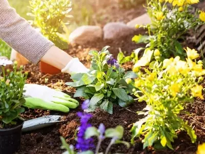 Guía Completa para Revitalizar Tu Jardín en Primavera