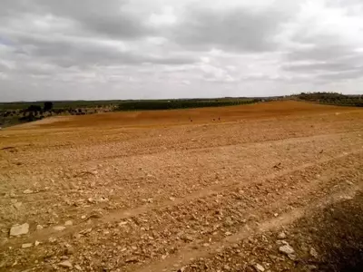 Detectando y Solucionando Problemas de Drenaje en el Suelo y Sustrato para un Jardín Saludable