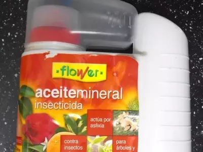 Estrategias Clave para Proteger tus Plantas con Aceite Insecticida