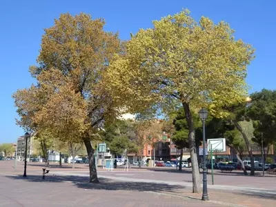 Aras de los Olmos Lidera la Transformación Digital Rural con el Centro RuralTEC