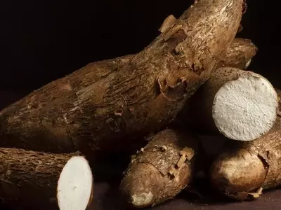 La Yuca Peruana: Un Tesoro Ancestral para la Seguridad Alimentaria