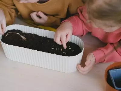 Cultivo en Macetas: Guía Definitiva para la Siembra de Semillas y el Cuidado de Plantas