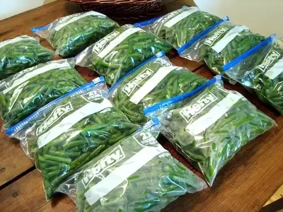 Guía Definitiva para Congelar Judías Verdes y Preservar su Frescura