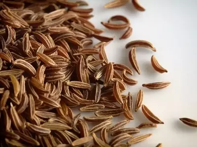 Guía Completa para el Cultivo de Semillas de Alcaravea