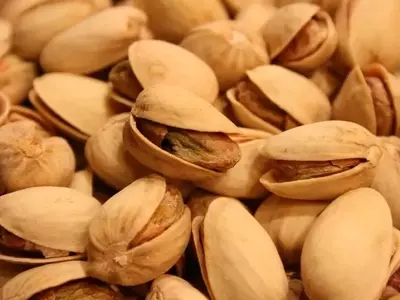 Guía Completa para el Cultivo Exitoso de Pistachos