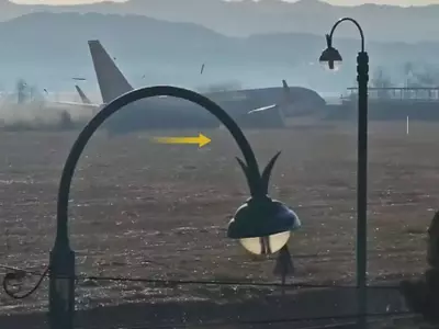 The Deadly Obstruction at Muan International Airport