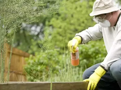 Uso Consciente de Productos Fitosanitarios para un Jardín Saludable