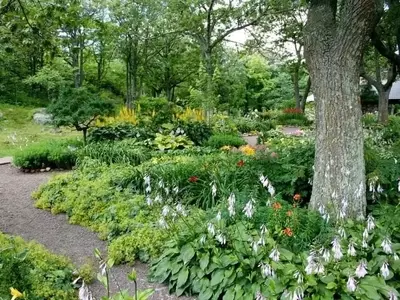 Guía Definitiva para Diseñar y Cultivar un Jardín Espectacular