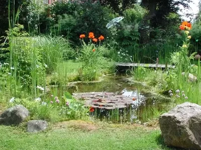 Cultivando un Jardín Ecológico: Armonía con la Naturaleza