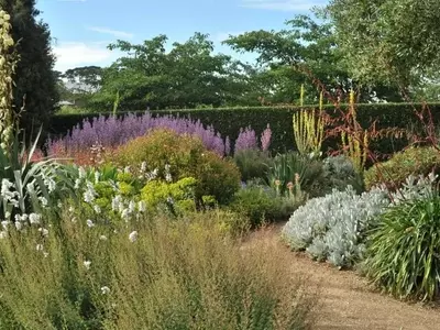 Descubriendo las Texturas del Suelo en tu Jardín: Guía Esencial para el Cultivo