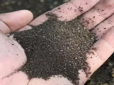 Creación de Humus Casero para un Jardín Fértil