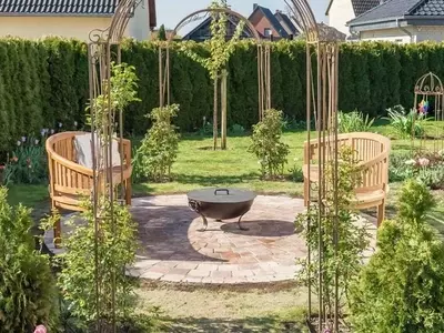 La Belleza Perenne de las Coníferas: Guía Completa para su Decoración y Cuidado
