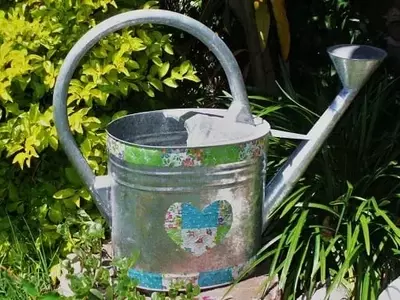 Guía Esencial para el Riego de Plantas Trepadoras: Factores Clave y Consejos Prácticos