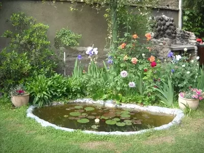 Crea y Cuida tu Oasis Acuático: Guía Esencial para un Estanque Espléndido