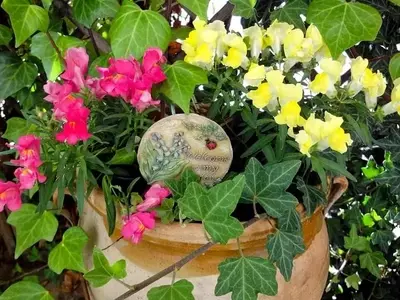 Guía Definitiva para el Cultivo Exitoso de la Boca de Dragón en Verano