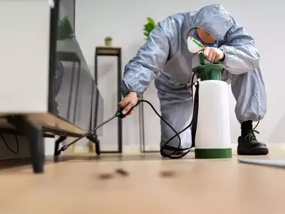 Estrategias Integrales para el Control de Plagas: Fumigación Efectiva y Sostenible