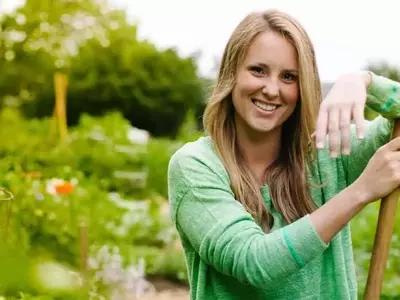Diseña tu Jardín Ideal con Mínimo Esfuerzo: Guía Completa