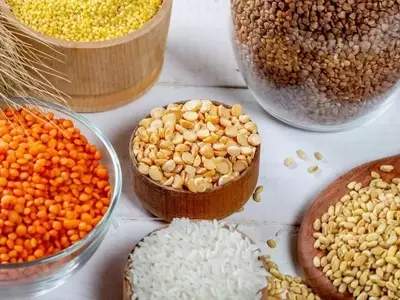 Descubriendo el Mundo Vegetal: Monocotiledóneas vs. Dicotiledóneas