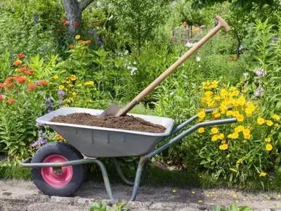 Guía Completa para la Siembra Óptima de Plantas