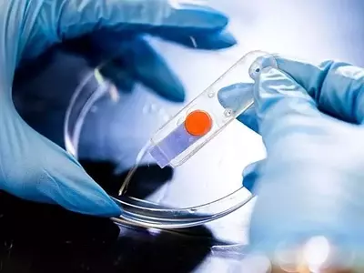 Sensores que cambian de color: la revolución en el monitoreo de la salud vegetal