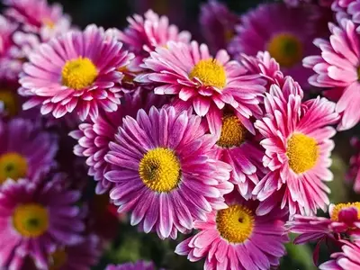 La Fascinante Longevidad de las Plantas: Ciclos de Vida y Factores Determinantes