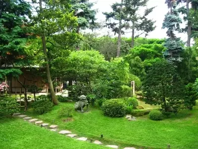 Cuidado Esencial del Jardín en Verano: Guía Completa