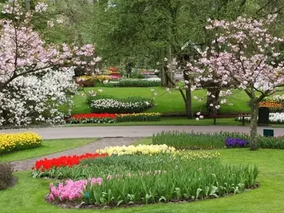 Guía Definitiva para el Cuidado de tu Jardín en Primavera