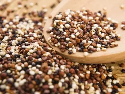 Cultivo y Cosecha de la Quinoa: Una Guía Completa para el Jardinero