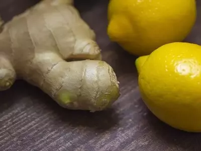 Guía Definitiva para el Cultivo de Jengibre Casero: De la Raíz a la Cosecha Propia