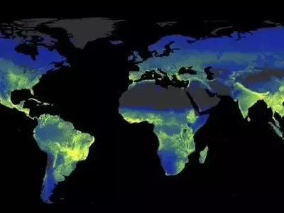 La Red Subterránea Secreta: Hongos Micorrízicos y su Crucial Rol contra el Cambio Climático