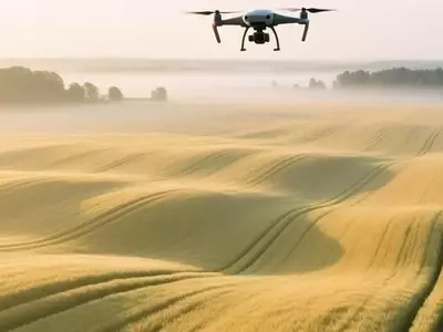 China Lidera la Revolución Agrícola con Granjas Cerealeras Autónomas