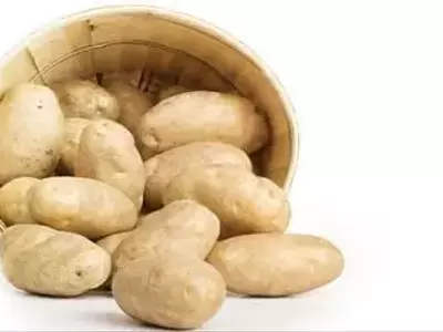 Cultivo de Patatas en Contenedores: Una Guía Completa para el Hogar