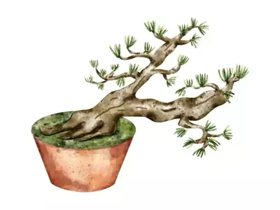 El Fascinante Mundo del Bonsái: Arte, Historia y Cuidado
